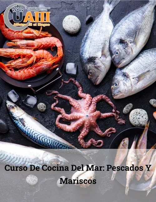 Curso de Cocina del Mar: Pescados y Mariscos
