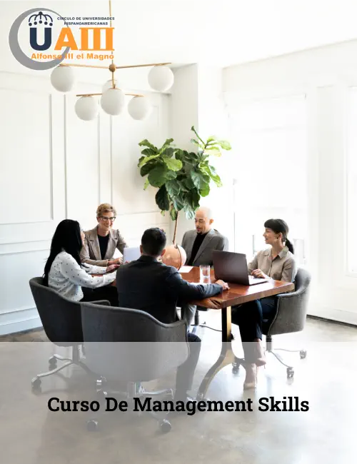 Curso de Management Skills
