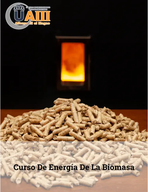 Curso de Energía de la Biomasa